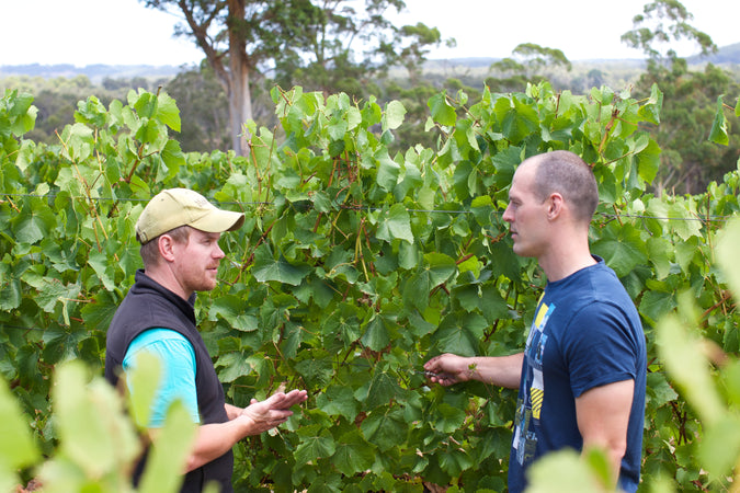 92 Points - James Halliday Wine Companion